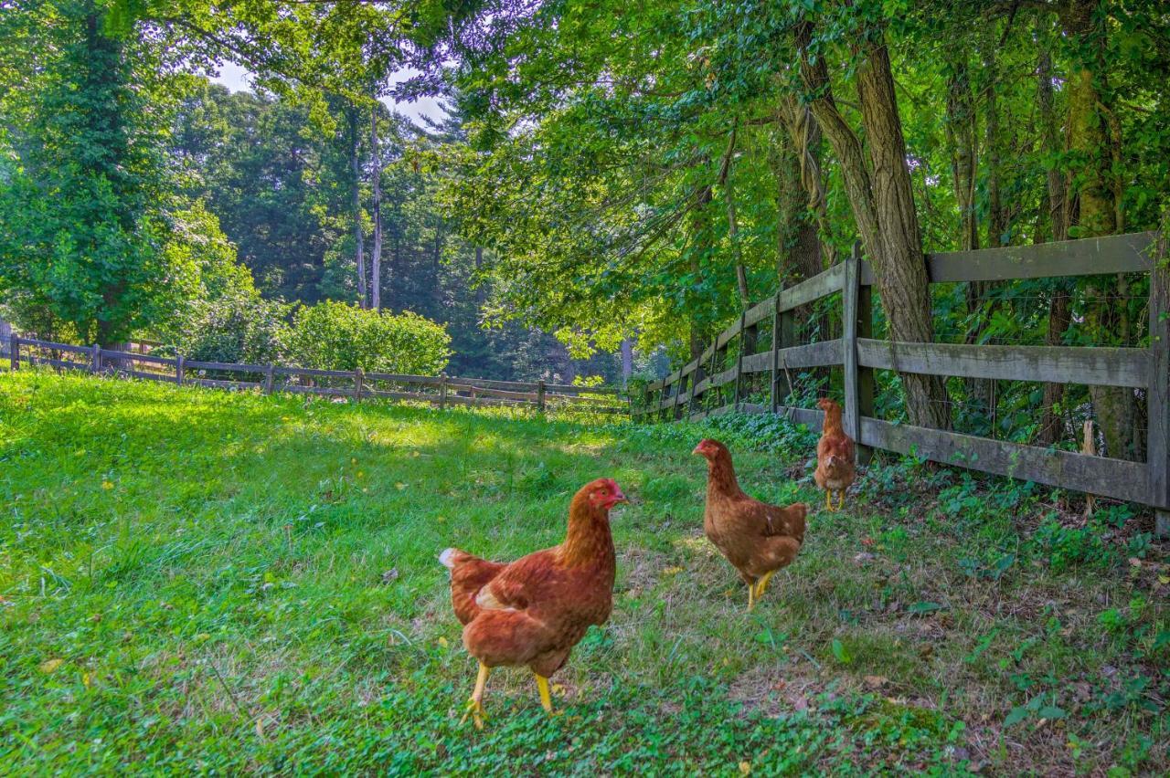 Rustic Hendersonville Farm Studio With Private Deck Экстерьер фото