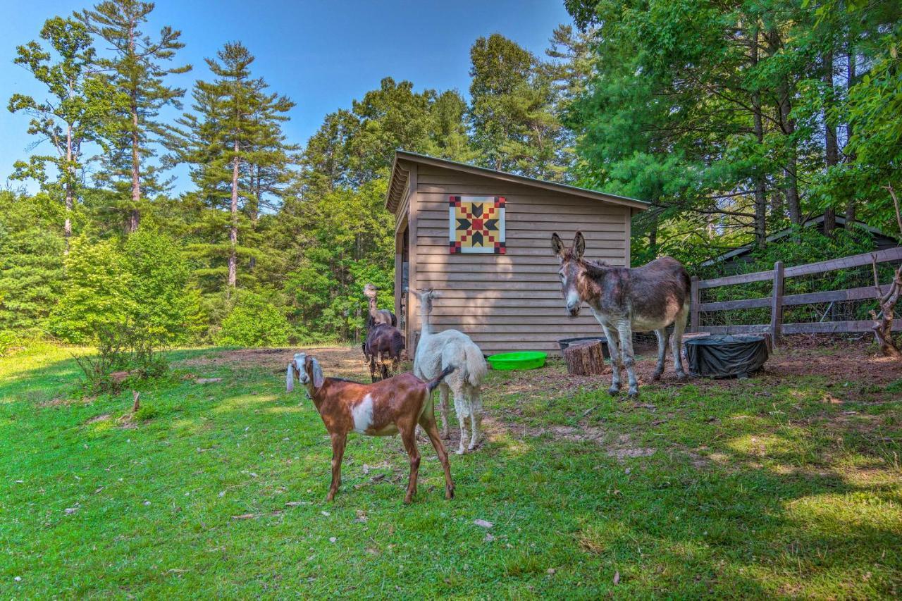 Rustic Hendersonville Farm Studio With Private Deck Экстерьер фото